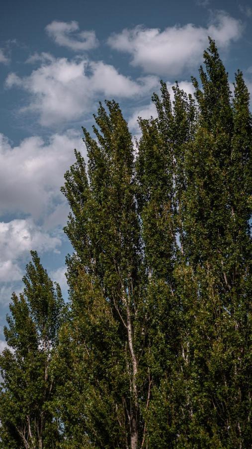 Pampas Del Sur Hotel Y Spa De Campo Cañuelas Екстериор снимка